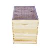 10 Frames Plastic Beehive Propolis Trap Collector