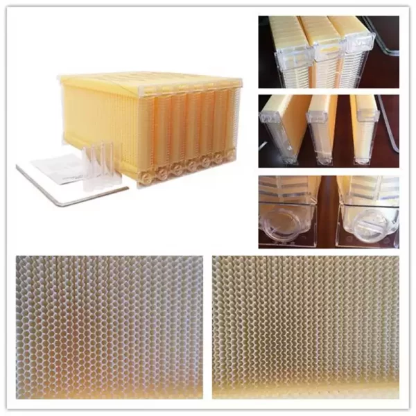 Auto Follow Plastic Honey Flow Beehive Frame