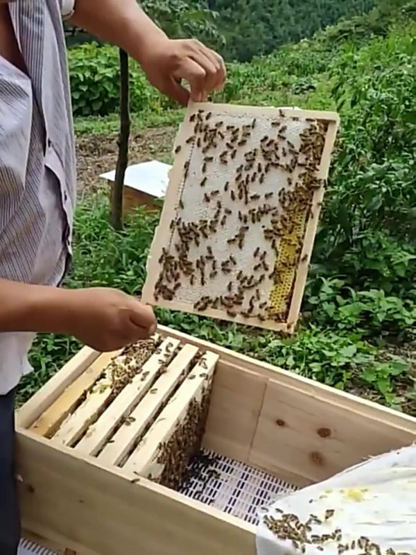 Beehive Frames Wood
