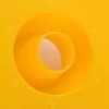 Plastic Round Beekeeping Equipment Rapid Pail Bee Feeder Deep Bee Feeder