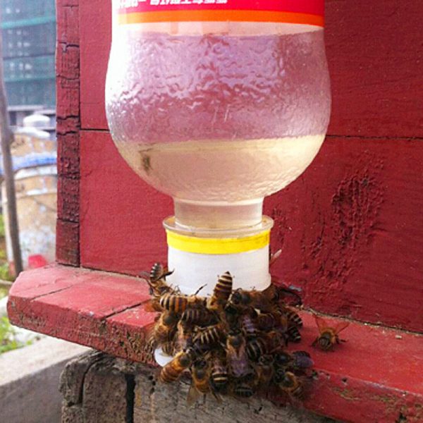 Bee Feeder Drinker Drink Bottle Fountain Connector