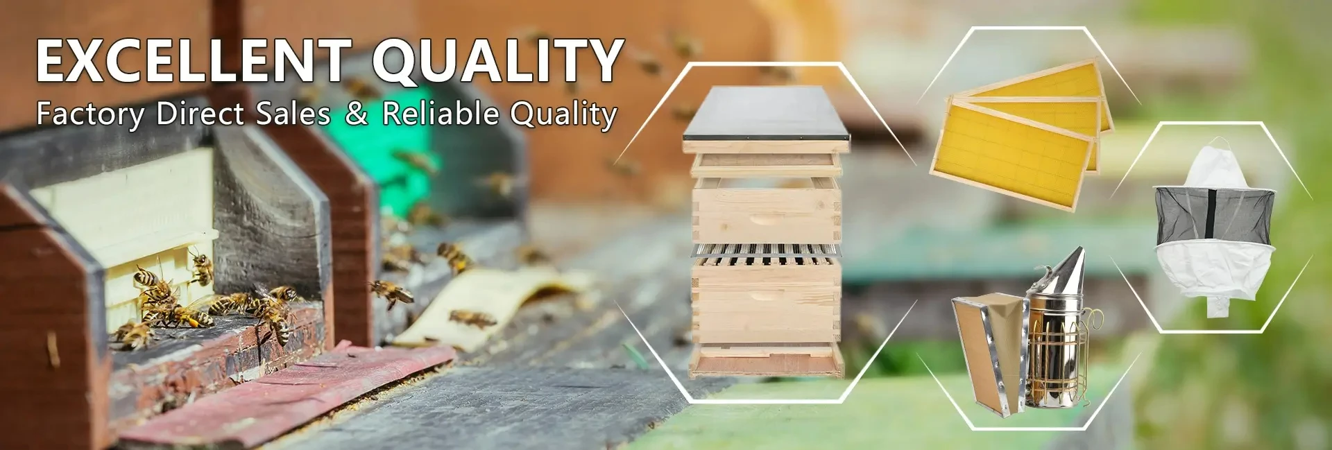10 Frames Plastic Beehive Propolis Trap Collector